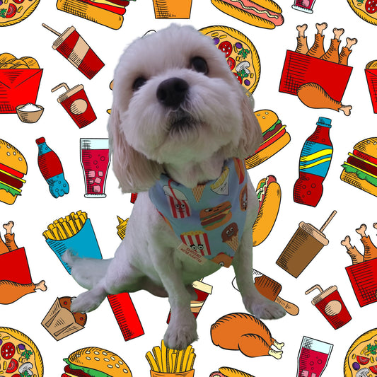 Dog wearing fast food comic pet bandana