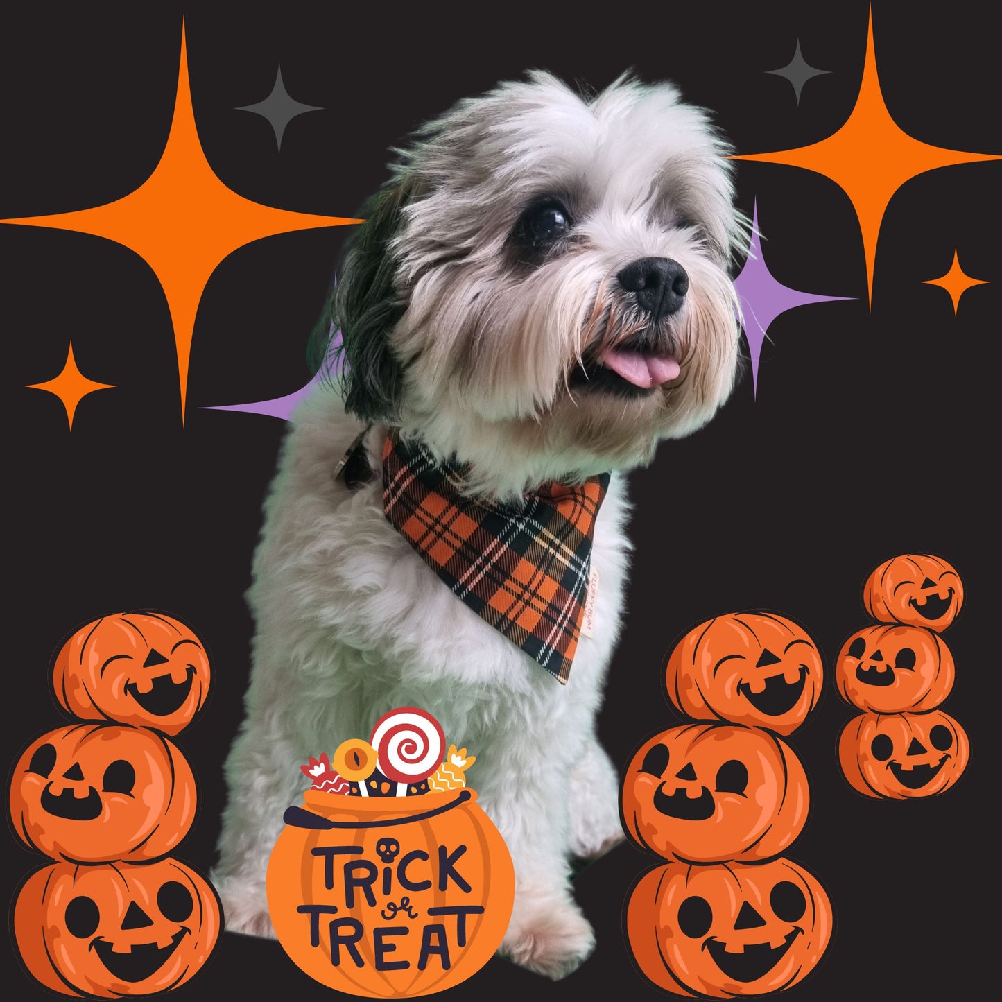 Dog wearing Halloween Tartan Pet Bandana - Size Small