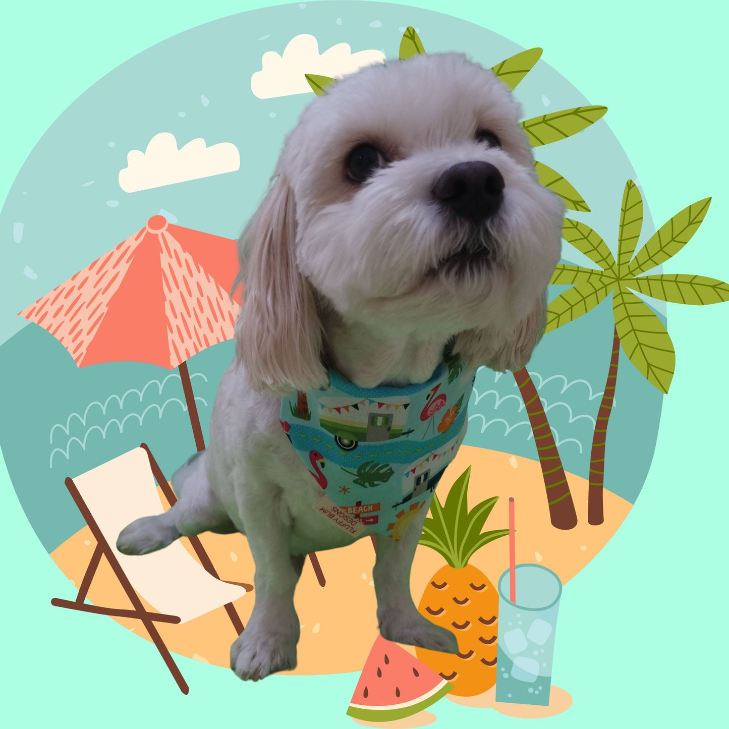 Dog wearing beach holiday themed bandana