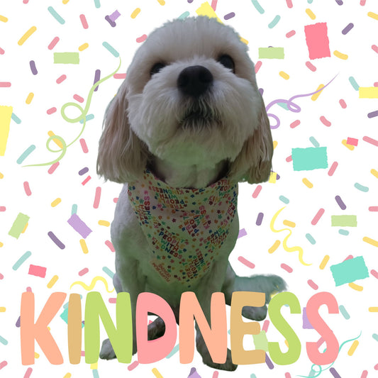 Dog wearing 'Treat People with Kindness' Pet Bandana - Small