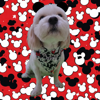 Dog wearing Mickey Mouse Pet Bandana