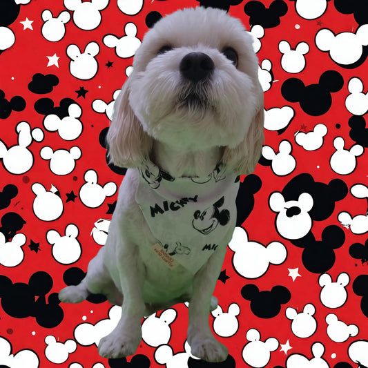 Dog wearing Mickey Mouse pet bandana