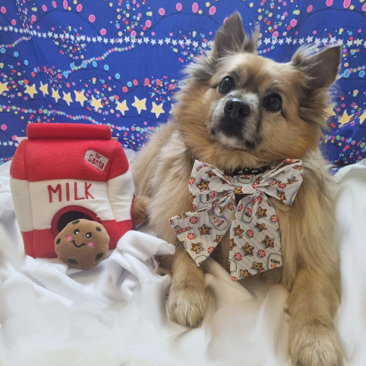 Dog wearing milk and cookies themed sailor bowtie