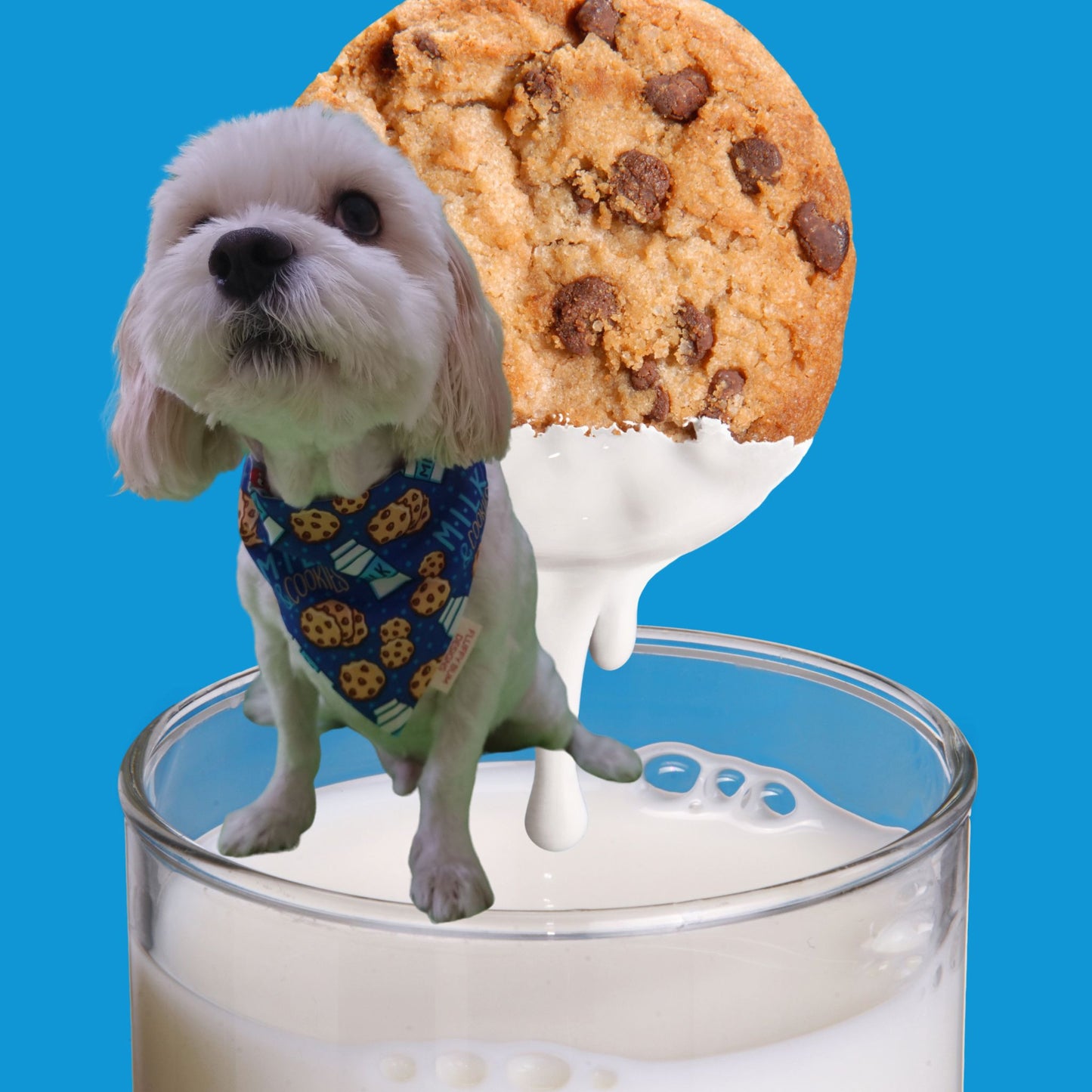 Dog wearing milk and cookies pet bandana