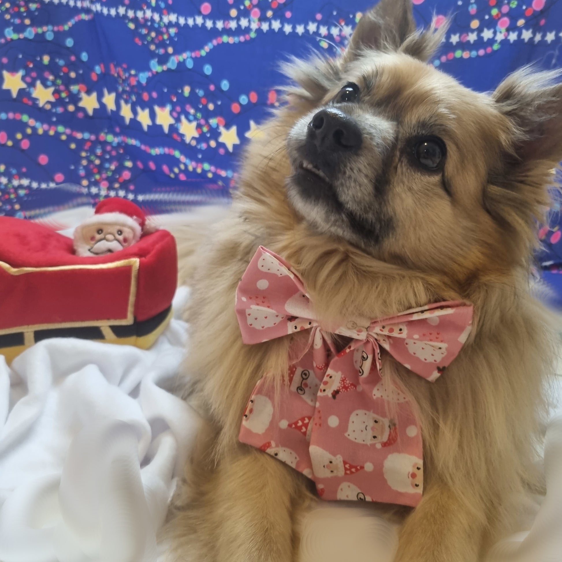 Dog wearing pink sailor bowtie with different Santa faces over it