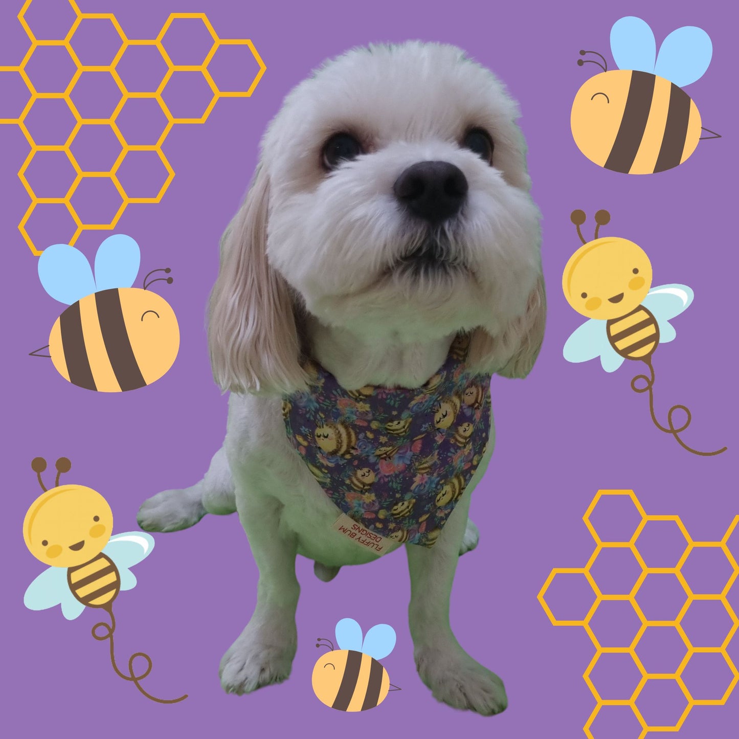 Dog wearing cute bee pet bandana