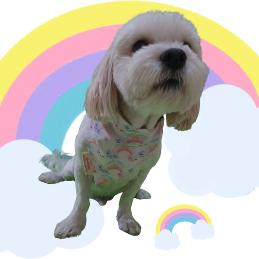 Dog wearing rainbow themed pet bandana - Small