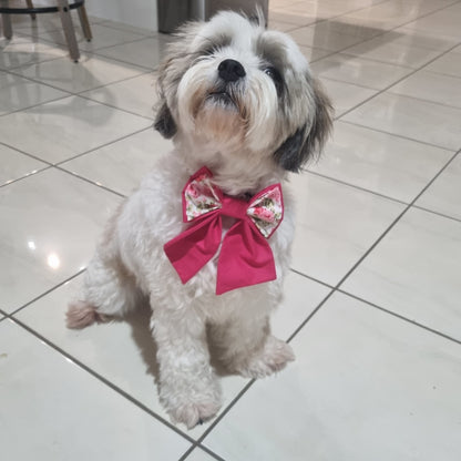 Dog wearing Valentines Day Theme Pet Bowtie