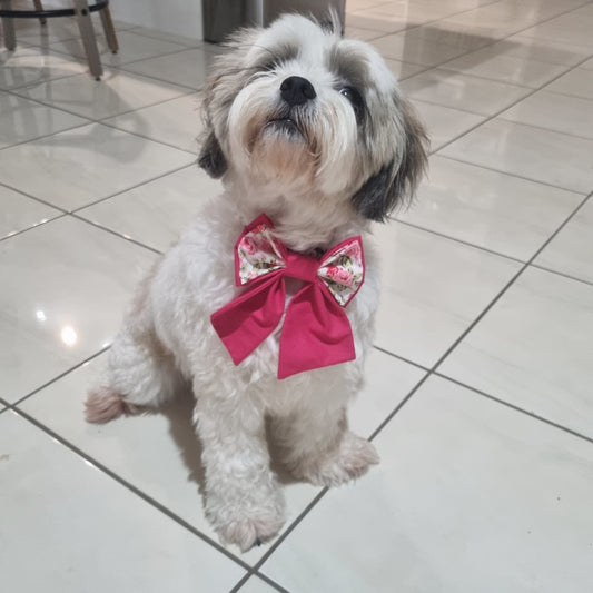 Dog wearing Valentines Day Theme Pet Bowtie