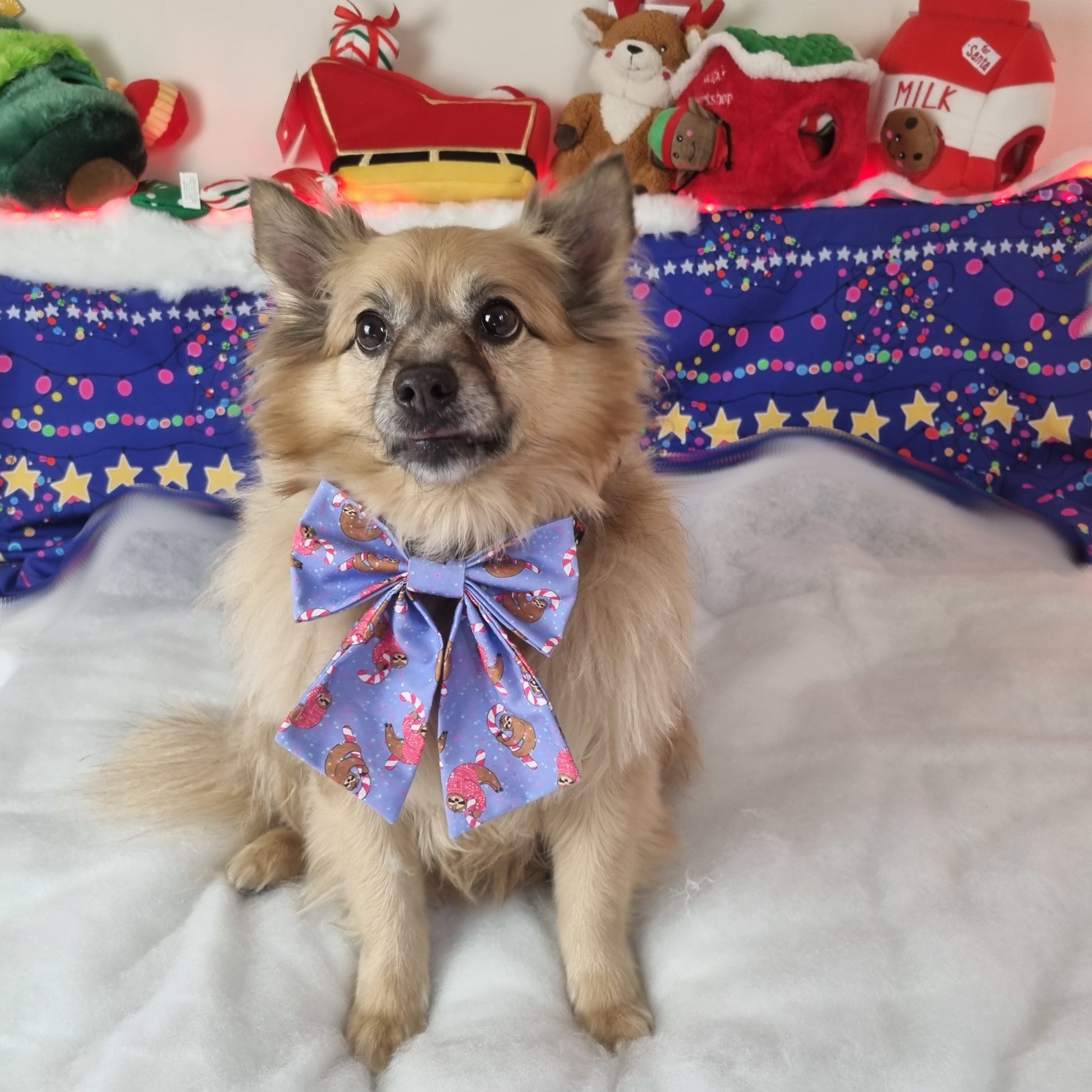 Dog wearing a sloth on candy canes sailor bowtie