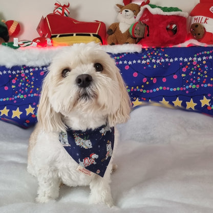 Maltese dog wearing Christmas westie bandana