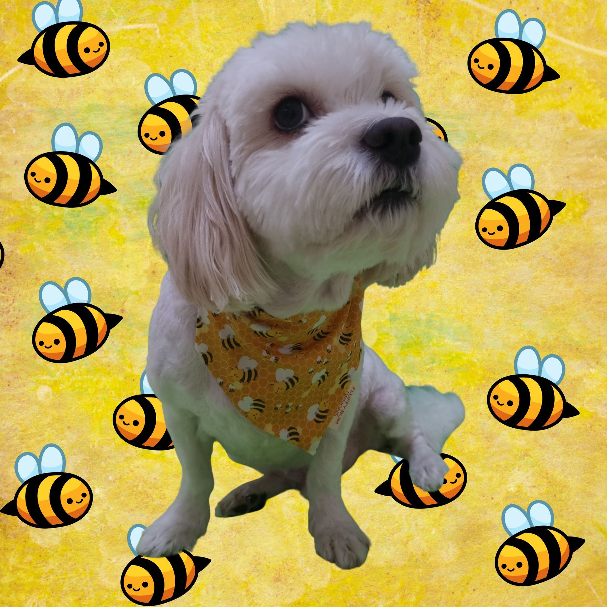 Dog Wearing Bee's Pet Bandana - Small