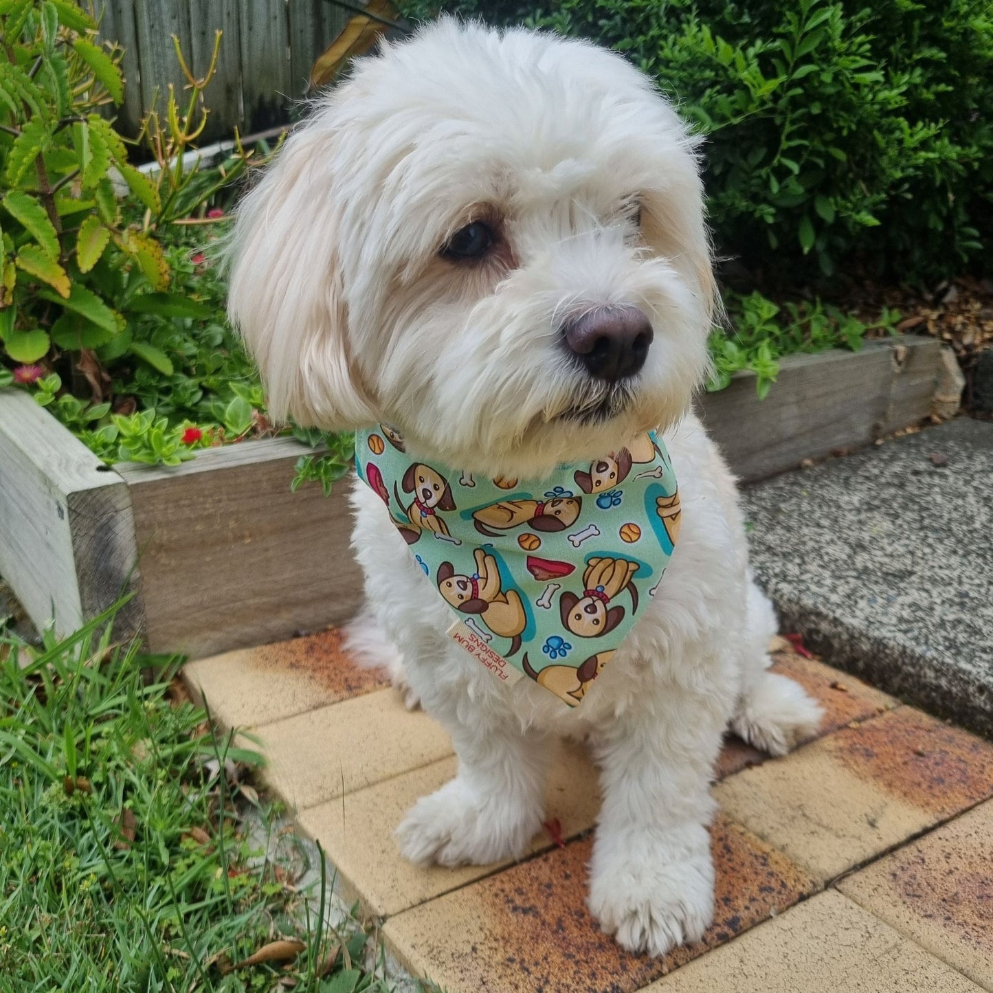white dog wearing puppy themed bandana