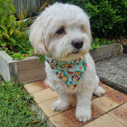 white dog wearing puppy themed bandana