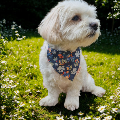 small white dog wearing paw print themed bandana