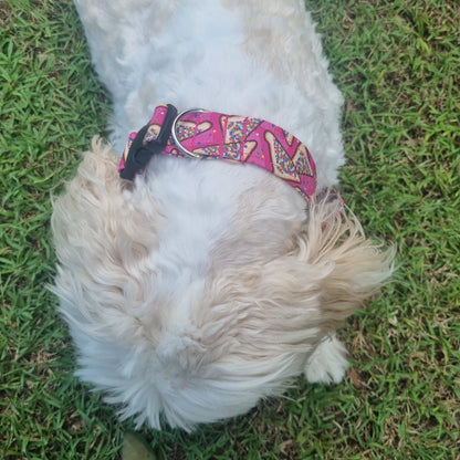 Dog Collar | Fairy Bread