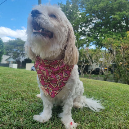 Fairy Bread Pet Bandana on White Fluffy Dog