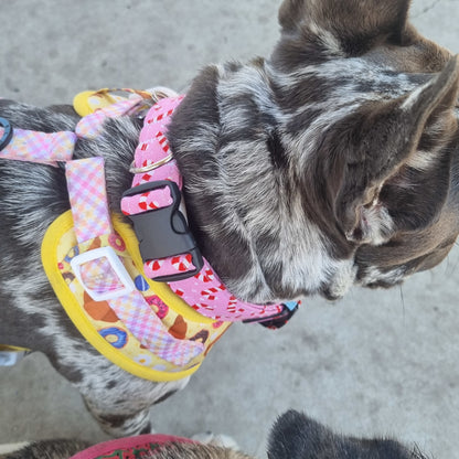 French Bulldog wearing pink candy canes dog collar