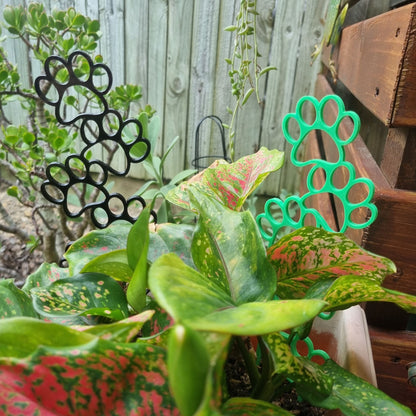 Potted Plant with 3D Printed Black Paw Print Trellis/Planter & Green Trellis/Planter