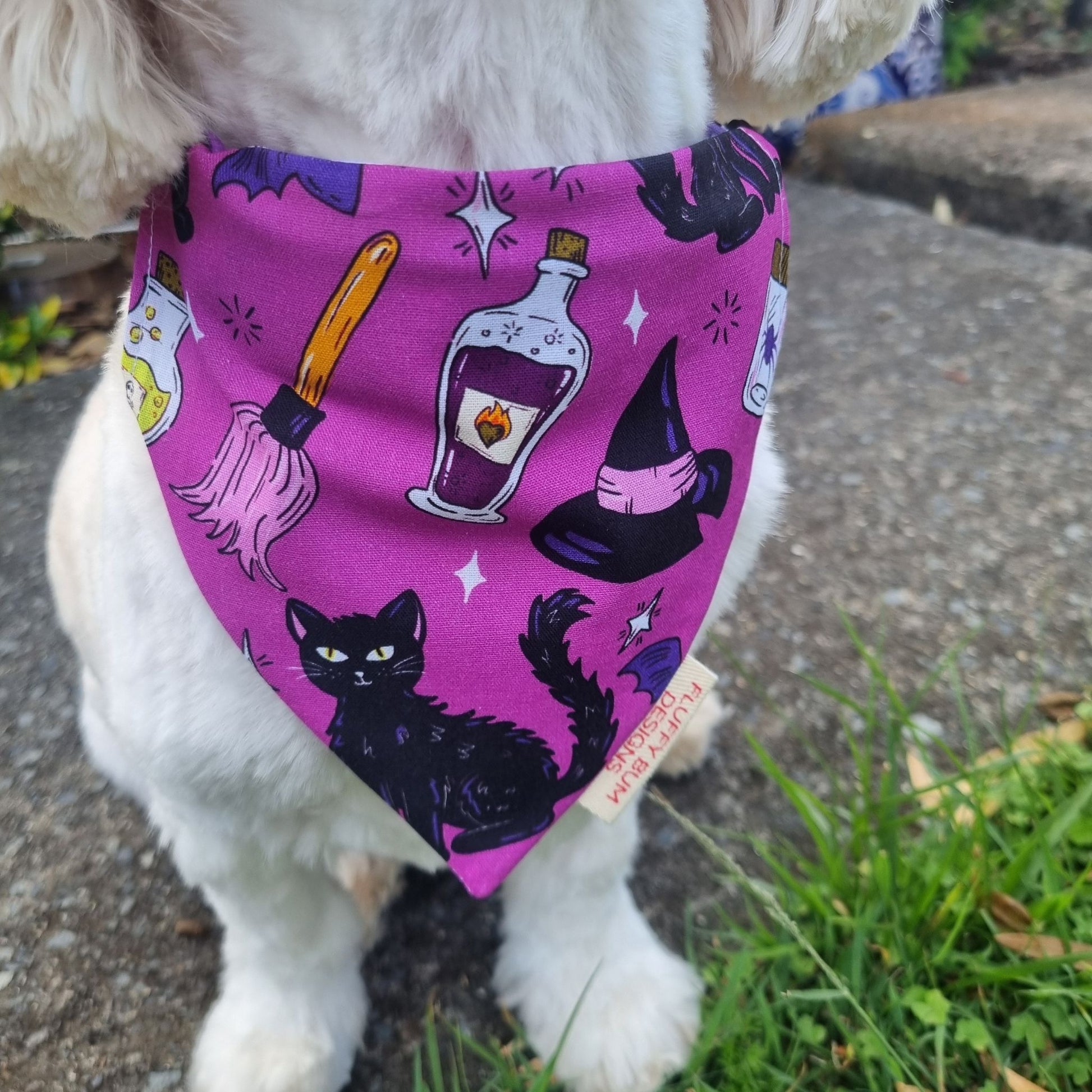 Dog wearing a purple bandana with Halloween-themed designs 
