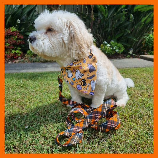 Dog Leash | Halloween Tartan