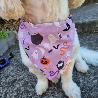 Dog wearing a Halloween-themed bandana 