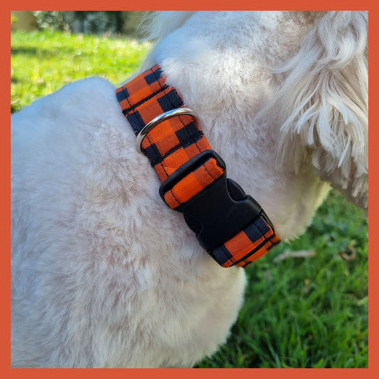 white dog wearing halloween themed dog collar - size medium