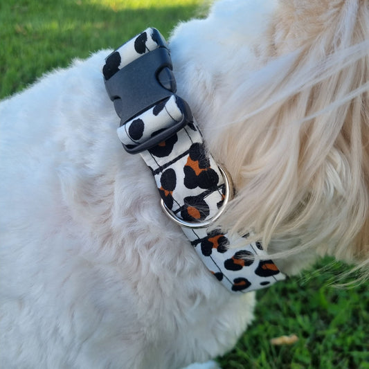 Dog Collar | Leopard