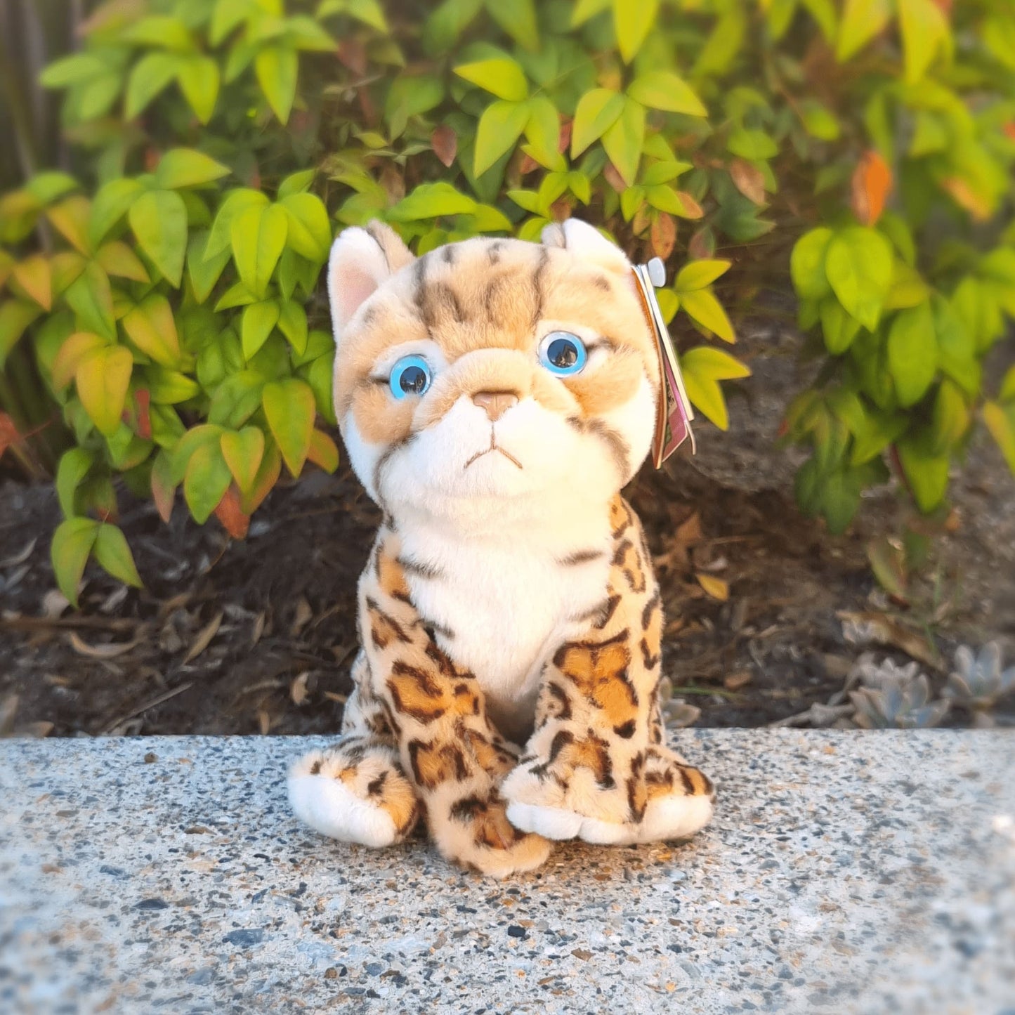 Living Nature Bengal Kitten 16cm Plushie