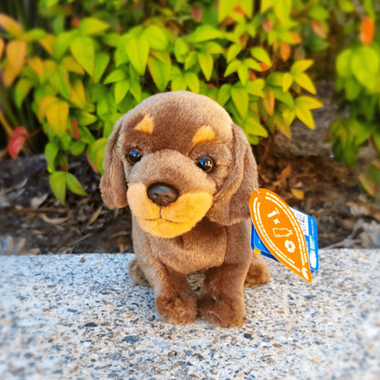 Living Nature - Dachshund 16cm Plushie