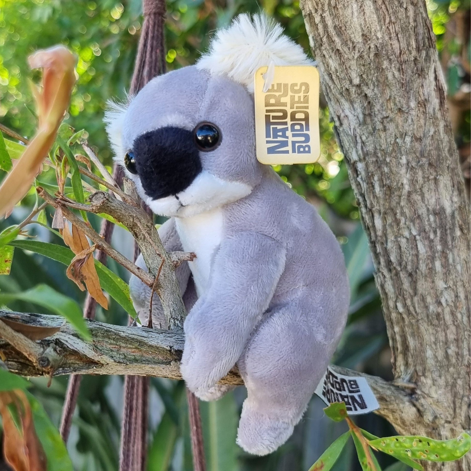 Living Nature Australian Mini Buddies - Koala