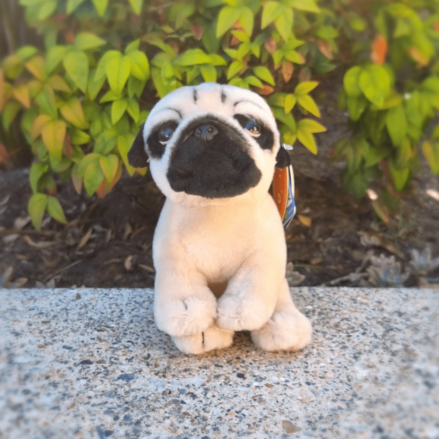 Living Nature - Pug 16cm Plushie