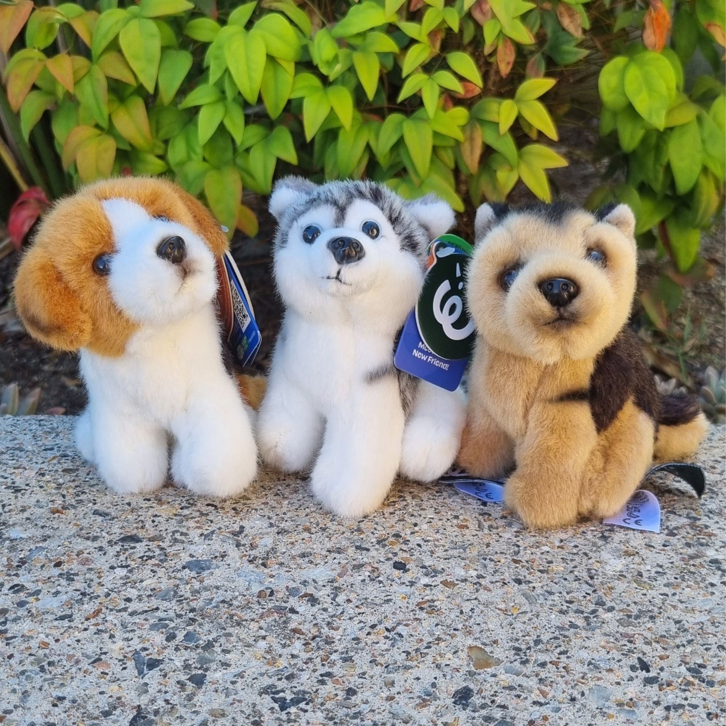 Living Nature Mini Plushies - Husky, German Shepard and Beagle