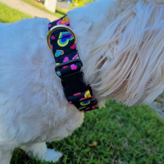 Dog wearing Love Hearts Dog Collar
