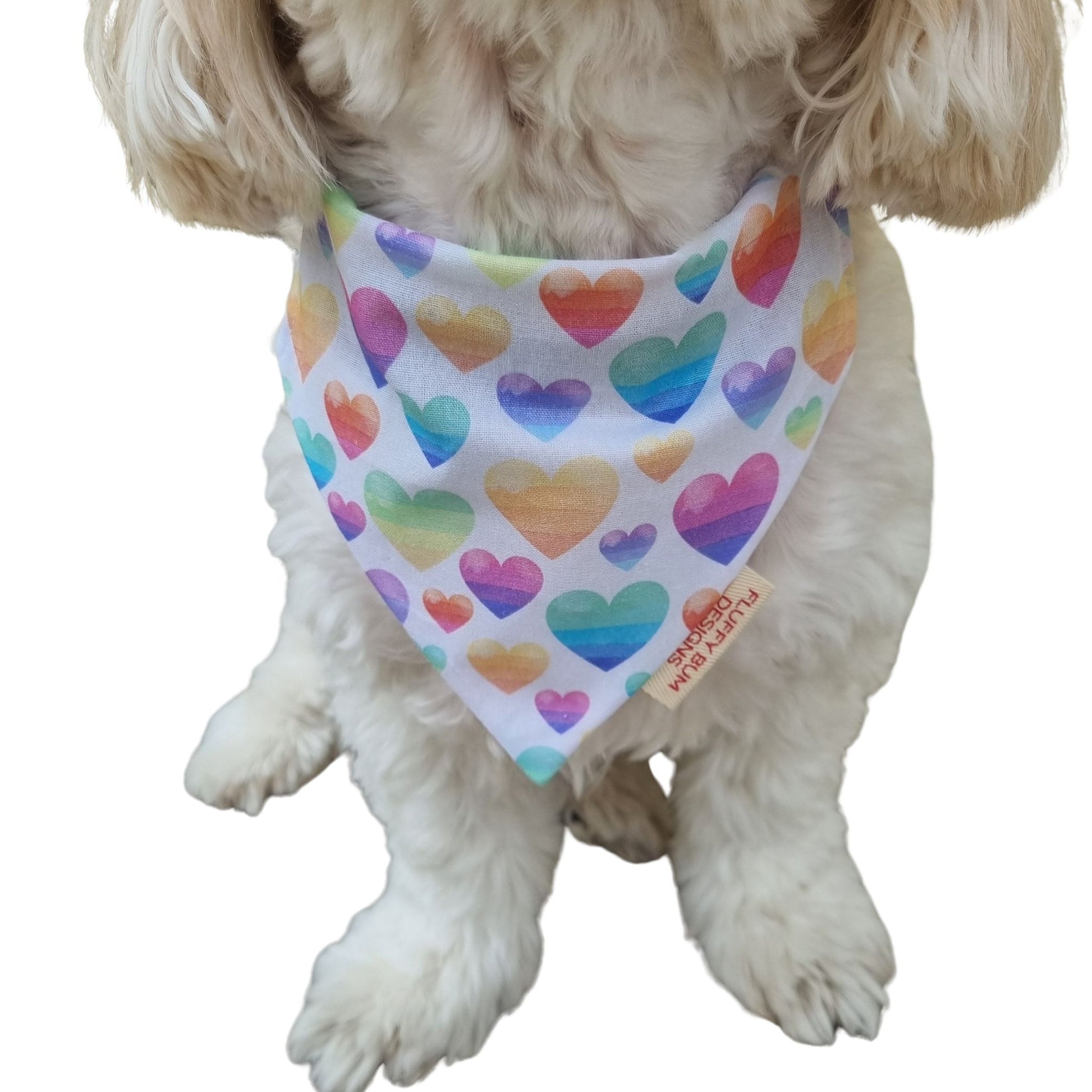 Pastel Hearts Bandana Close up on small white dog