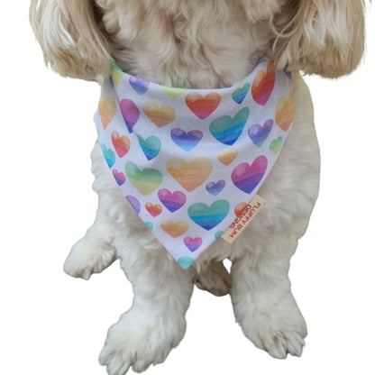 Pastel Hearts Bandana Close up on small white dog
