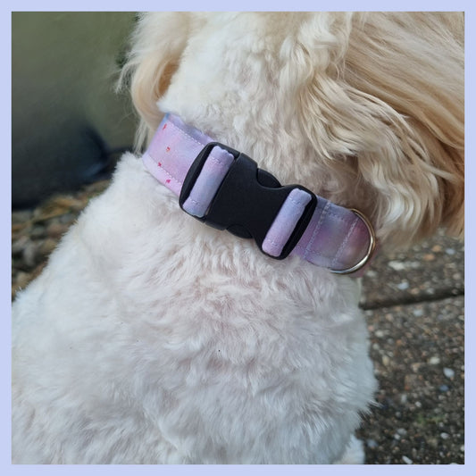 Pastel Clouds Collar on Dog