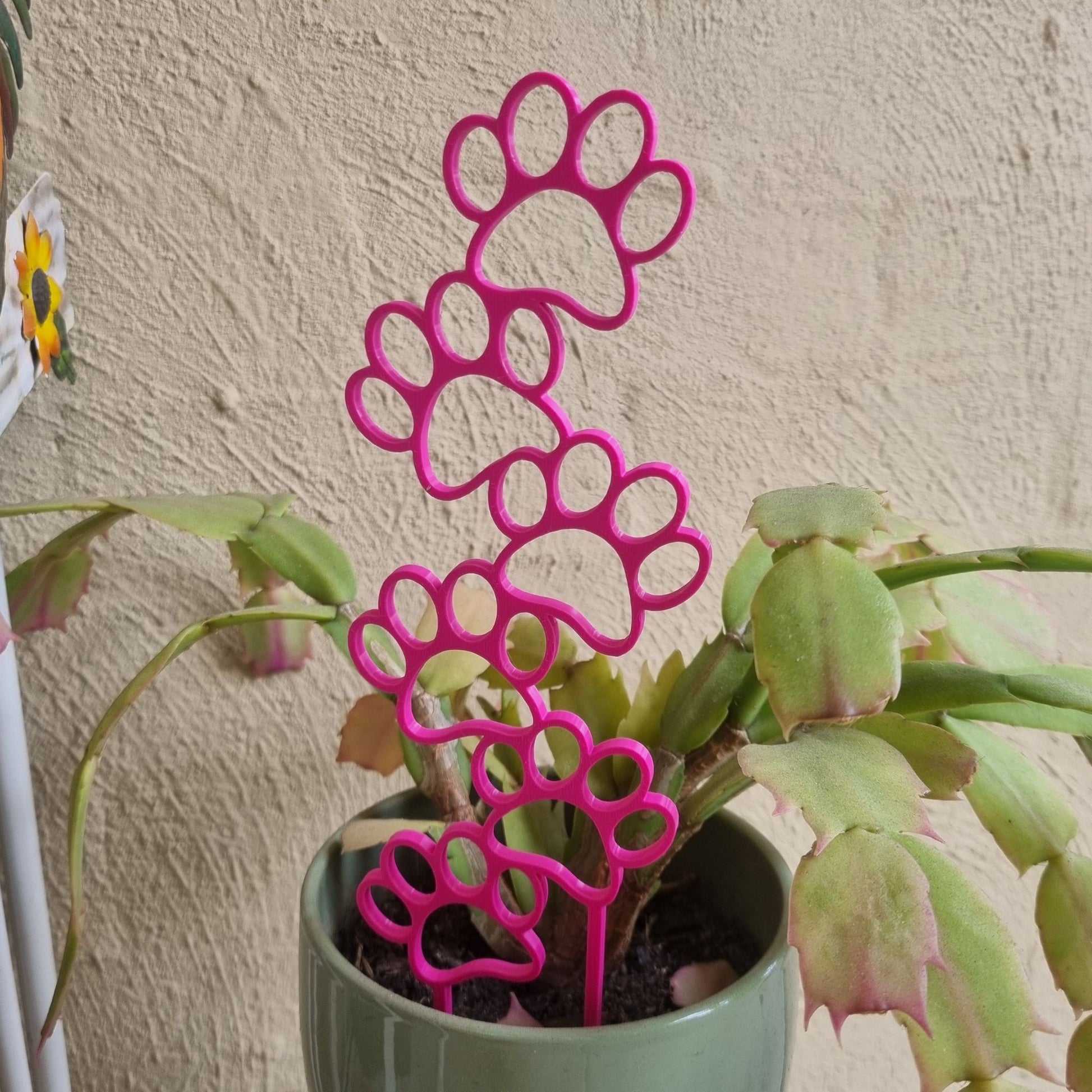 Potted Plant with 3D Printed Pink Paw Print Trellis/Planter