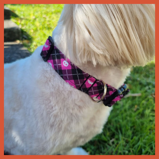 Dog Collar | Skulls & Bats