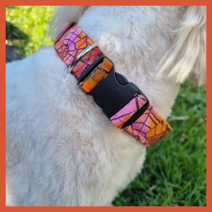 Dog Collar | Spooky Magic