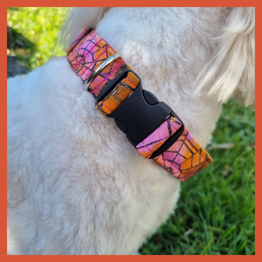 Dog Collar | Spooky Magic