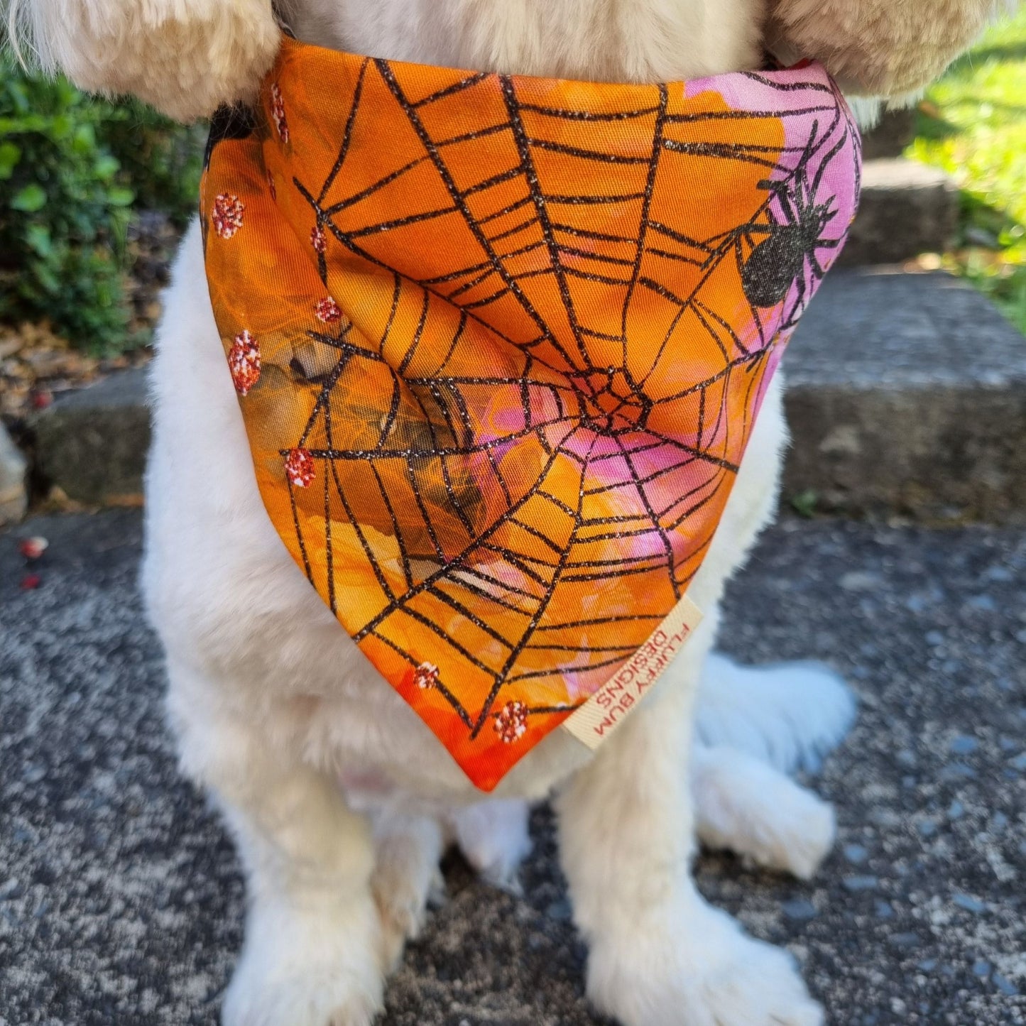 Dog wearing a Halloween-themed bandana 
