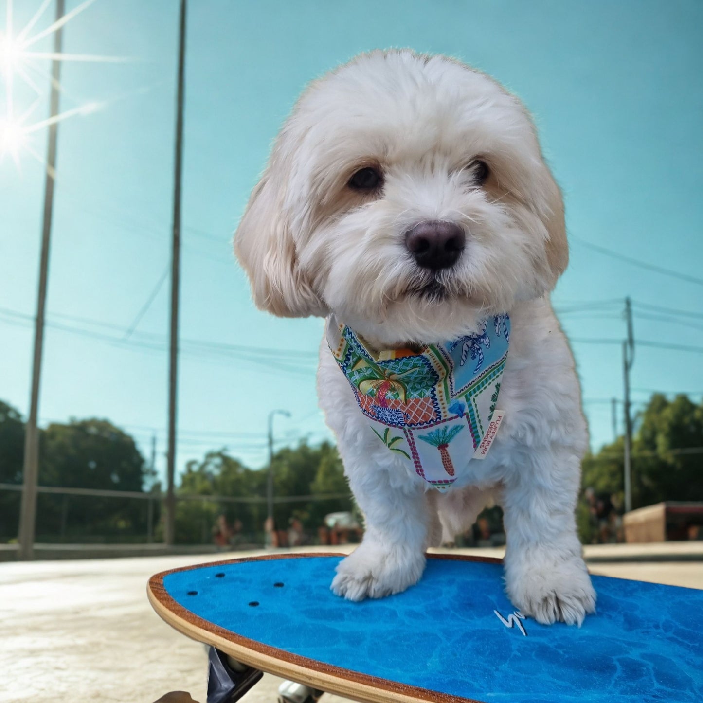 Dog wearing Tropical Themed Bandana with front paws on  a skateboard