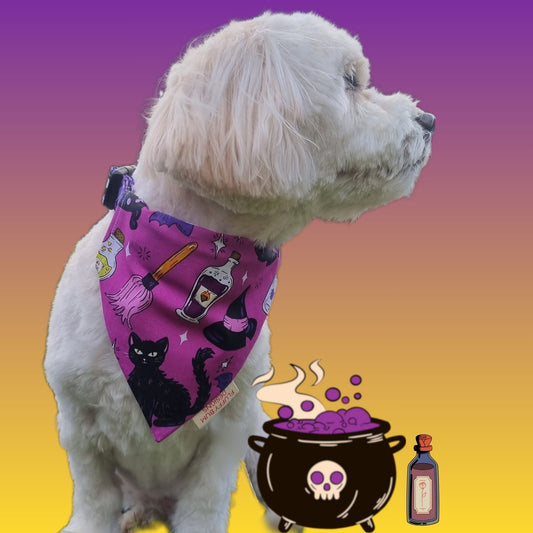 White dog wearing a purple Halloween-themed bandana with a gradient background