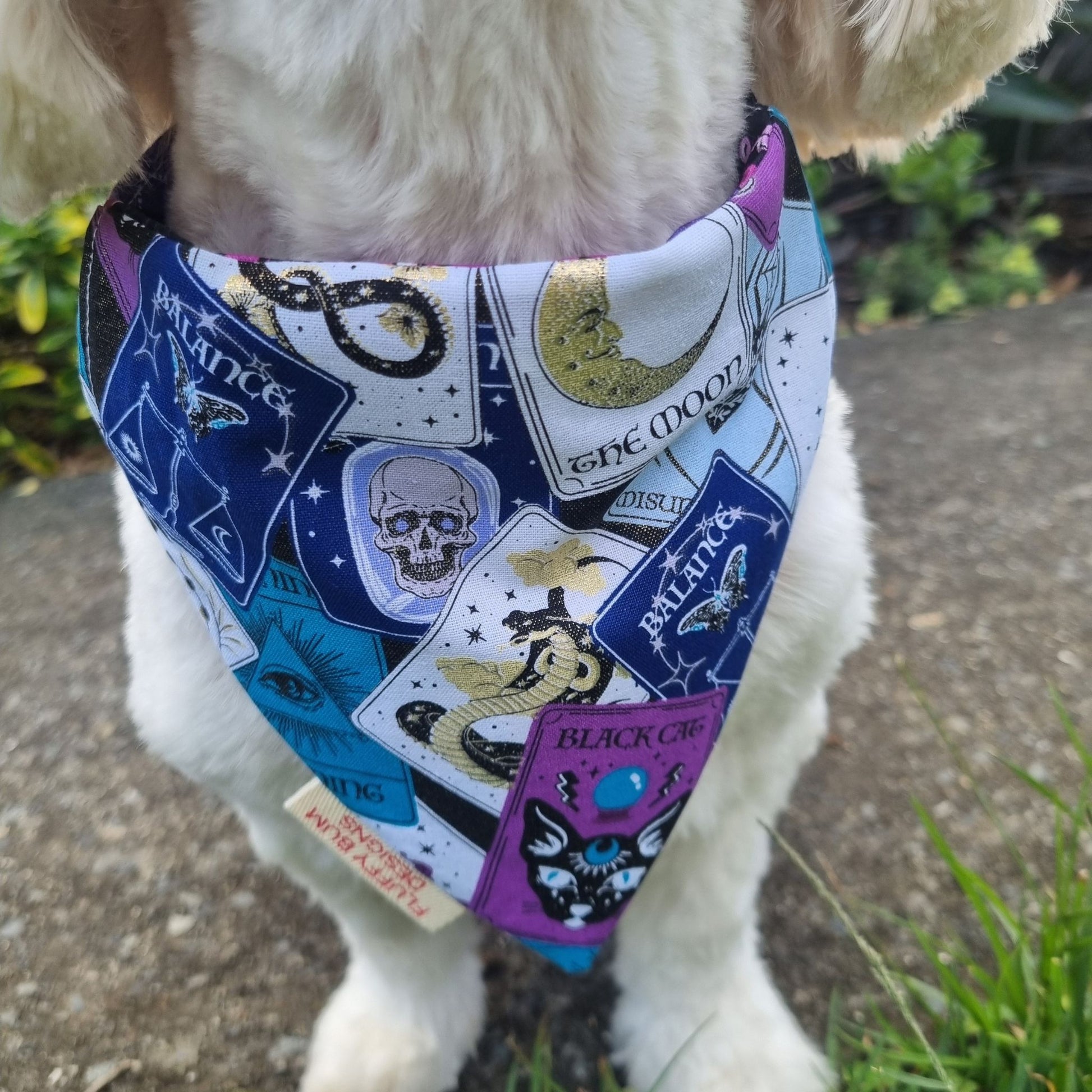 Dog wearing a tarot card patterned bandana outdoors.