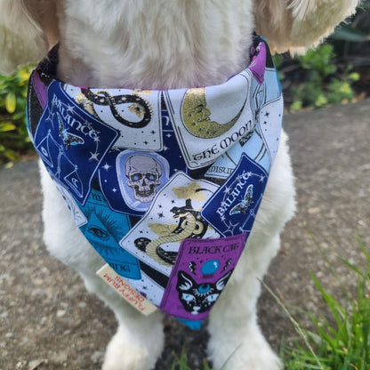 Dog wearing a tarot card patterned bandana outdoors.