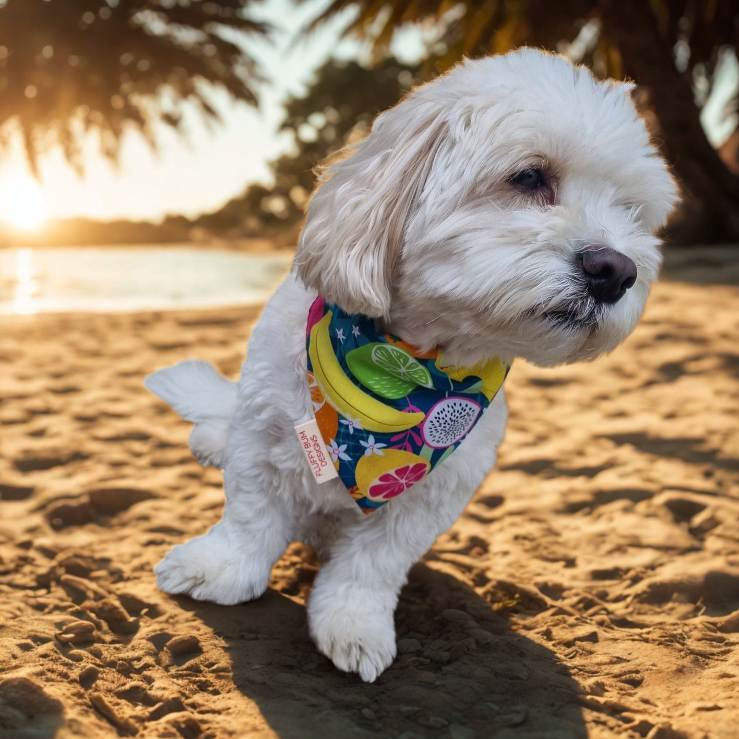 Dog wearing tropical fruit themed bandana on a beach
