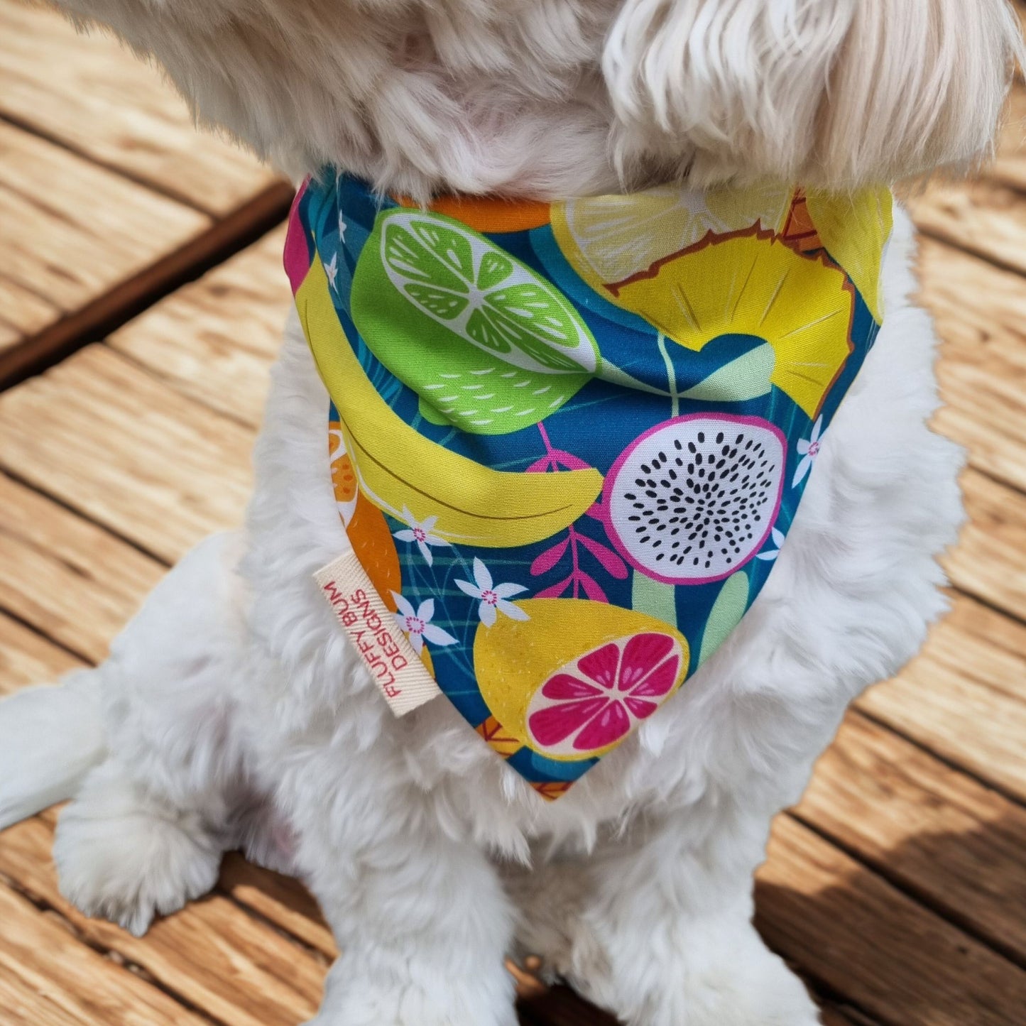 Dog wearing tropical fruit themed bandana - close up of his neck