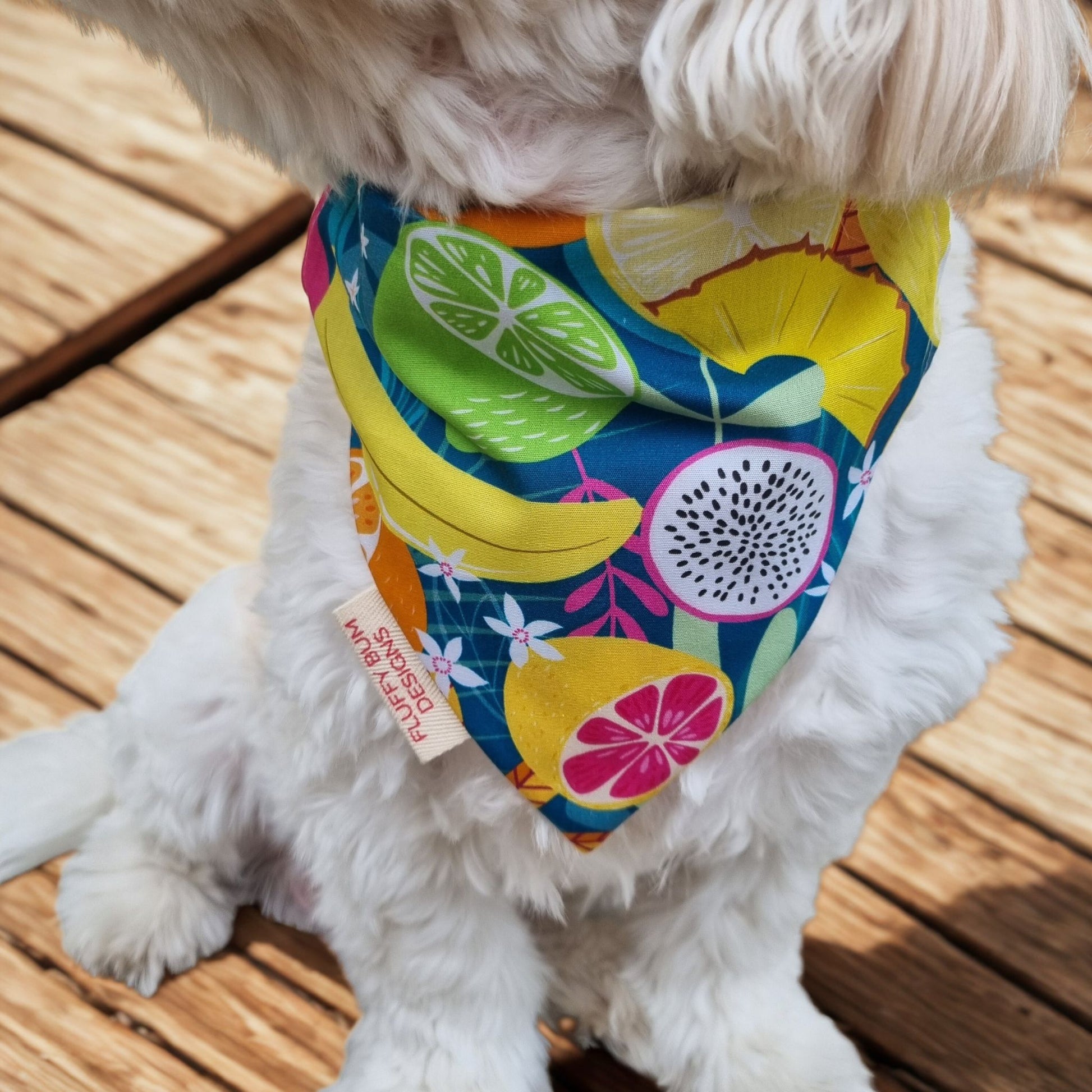 Dog wearing tropical fruit themed bandana - close up of his neck