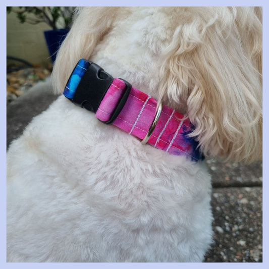Watercolours Collar on Dog
